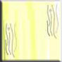 diploma cours for textile design